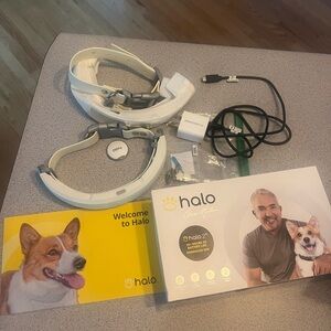 Halo 2+ Dog Collar
